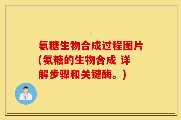 氨糖生物合成过程图片(氨糖的生物合成 详解步骤和关键酶。)