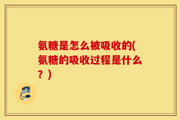 氨糖是怎么被吸收的(氨糖的吸收过程是什么？)
