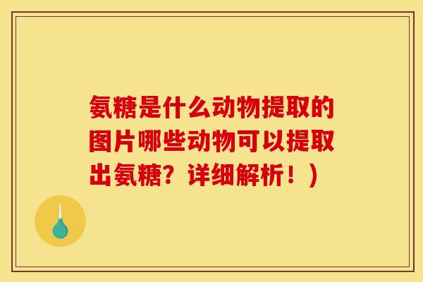 氨糖是什么动物提取的图片哪些动物可以提取出氨糖？详细解析！)