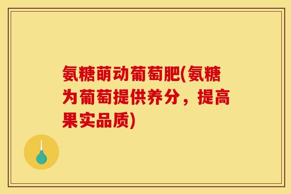 氨糖萌动葡萄肥(氨糖为葡萄提供养分，提高果实品质)