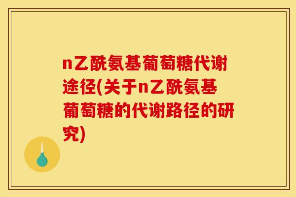 n乙酰氨基葡萄糖代谢途径(关于n乙酰氨基葡萄糖的代谢路径的研究)