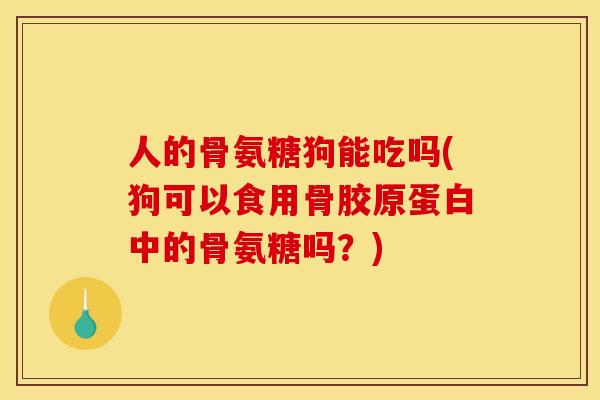 人的骨氨糖狗能吃吗(狗可以食用骨胶原蛋白中的骨氨糖吗?) 人的骨氨糖狗能吃吗(狗可以食用骨胶原蛋白中的骨氨糖吗?)