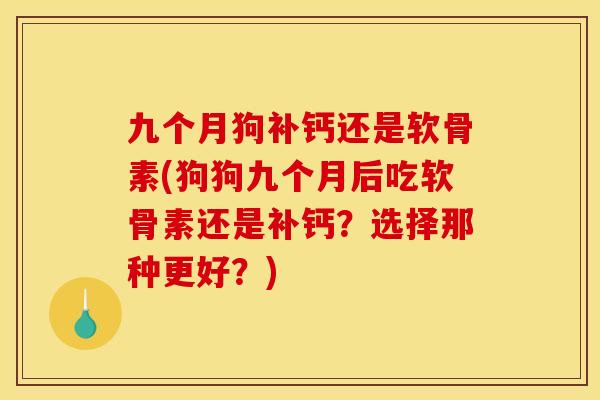 九个月狗补钙还是软骨素(狗狗九个月后吃软骨素还是补钙?选择那种更好?) 九个月狗补钙还是软骨素(狗狗九个月后吃软骨素还是补钙?选择那种更好?)