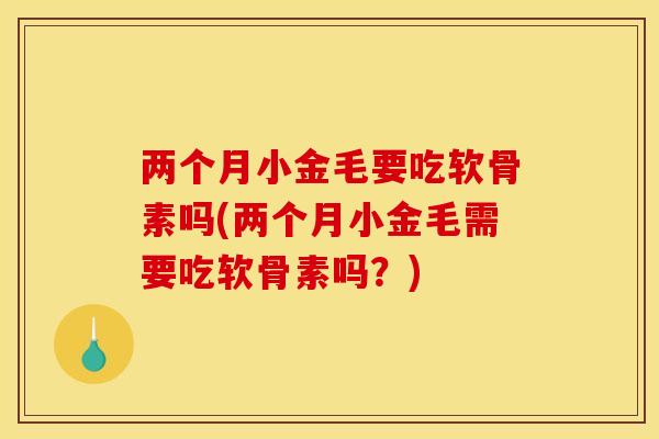两个月小金毛要吃软骨素吗(两个月小金毛需要吃软骨素吗？)