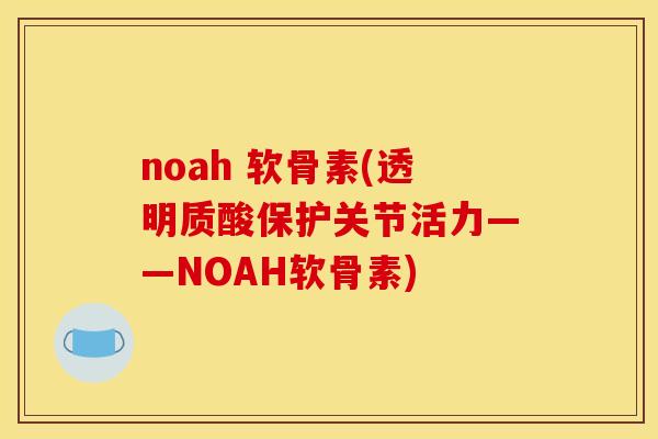 noah 软骨素(透明质酸保护关节活力——NOAH软骨素)