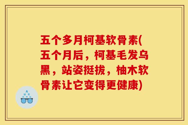 五个多月柯基软骨素(五个月后，柯基毛发乌黑，站姿挺拔，柚木软骨素让它变得更健康)