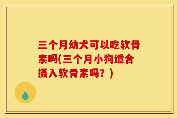 三个月幼犬可以吃软骨素吗(三个月小狗适合摄入软骨素吗？)