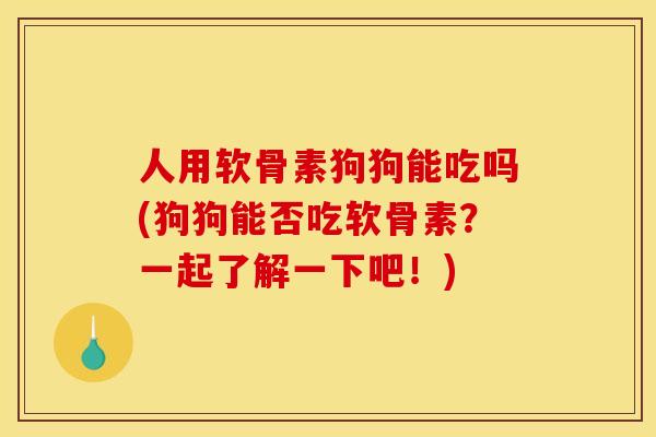 人用软骨素狗狗能吃吗(狗狗能否吃软骨素？一起了解一下吧！)