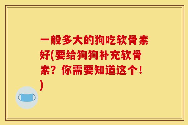 一般多大的狗吃软骨素好(要给狗狗补充软骨素?你需要知道这个!) 一般多大的狗吃软骨素好(要给狗狗补充软骨素?你需要知道这个!)
