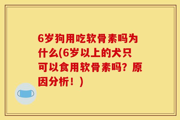 6岁狗用吃软骨素吗为什么(6岁以上的犬只可以食用软骨素吗？原因分析！)