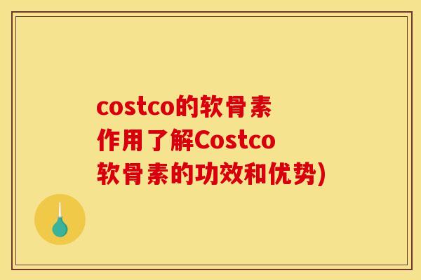 costco的软骨素作用了解Costco软骨素的功效和优势)