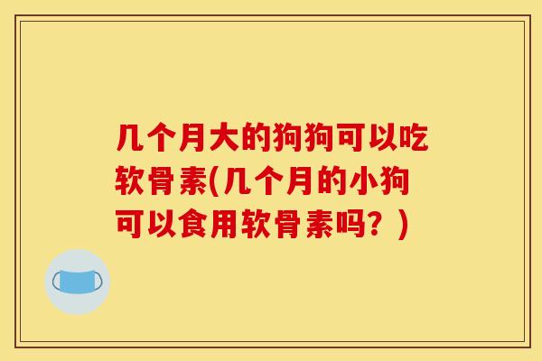 几个月大的狗狗可以吃软骨素(几个月的小狗可以食用软骨素吗？)