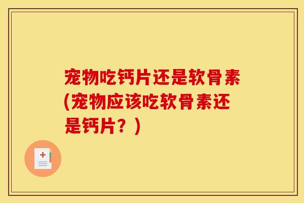 宠物吃钙片还是软骨素(宠物应该吃软骨素还是钙片?) 宠物吃钙片还是软骨素(宠物应该吃软骨素还是钙片?)