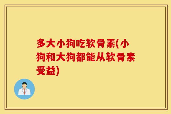 多大小狗吃软骨素(小狗和大狗都能从软骨素受益)