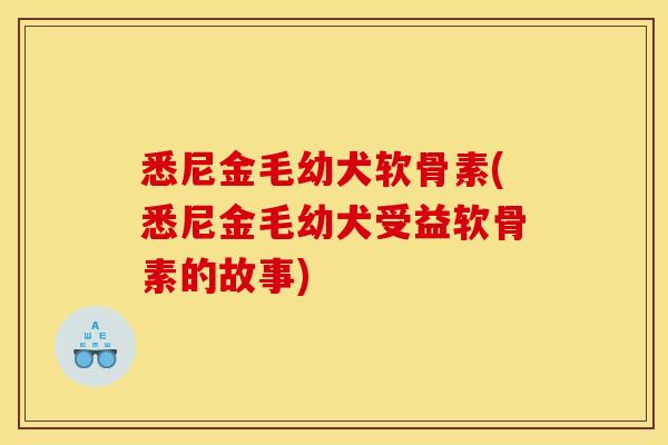 悉尼金毛幼犬软骨素(悉尼金毛幼犬受益软骨素的故事)