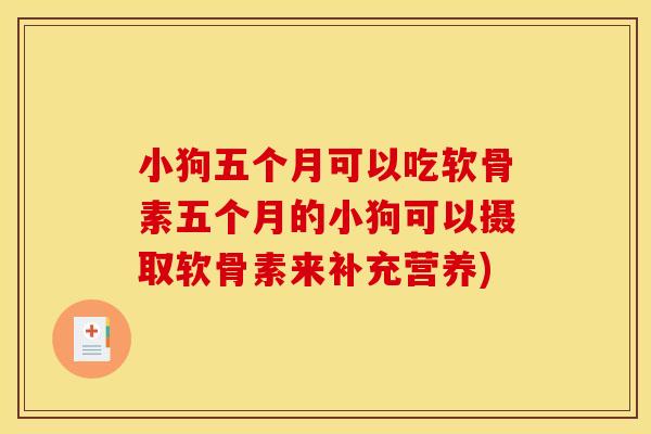 小狗五个月可以吃软骨素五个月的小狗可以摄取软骨素来补充营养) 小狗五个月可以吃软骨素五个月的小狗可以摄取软骨素来补充营养)