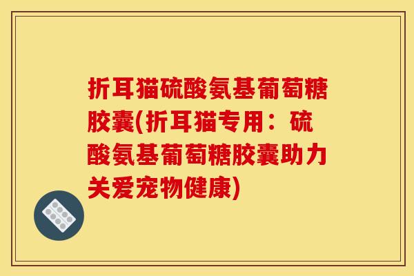 折耳猫硫酸氨基葡萄糖胶囊(折耳猫专用：硫酸氨基葡萄糖胶囊助力关爱宠物健康)
