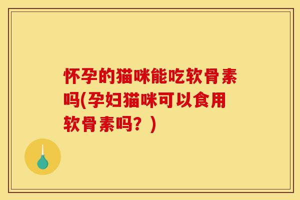 怀孕的猫咪能吃软骨素吗(孕妇猫咪可以食用软骨素吗？)