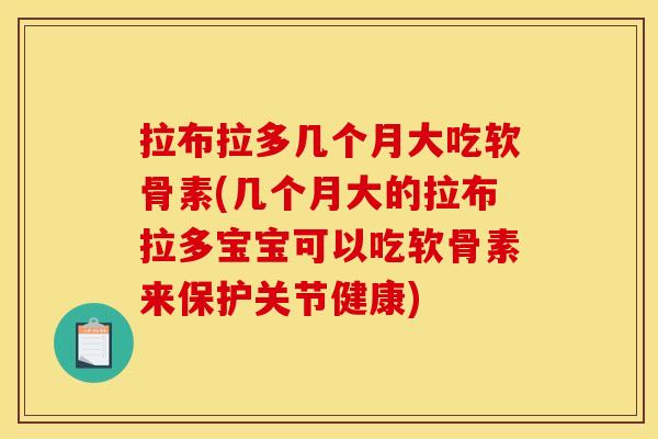 拉布拉多几个月大吃软骨素(几个月大的拉布拉多宝宝可以吃软骨素来保护关节健康)