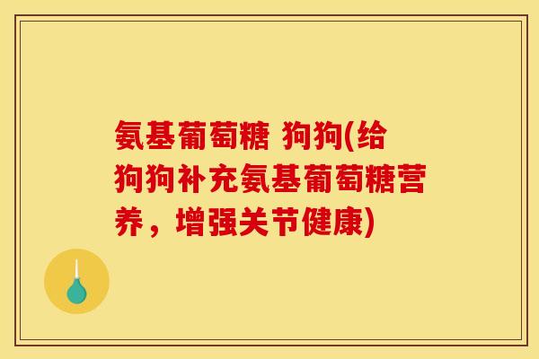 氨基葡萄糖 狗狗(给狗狗补充氨基葡萄糖营养，增强关节健康)