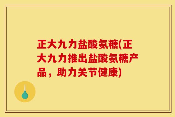 正大九力盐酸氨糖(正大九力推出盐酸氨糖产品，助力关节健康)