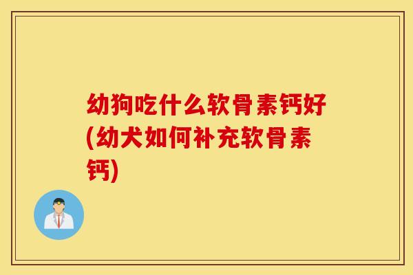 幼狗吃什么软骨素钙好(幼犬如何补充软骨素钙)