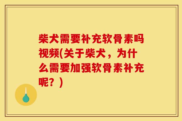 柴犬需要补充软骨素吗视频(关于柴犬，为什么需要加强软骨素补充呢？)