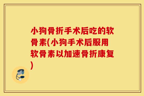 小狗骨折手术后吃的软骨素(小狗手术后服用软骨素以加速骨折康复)