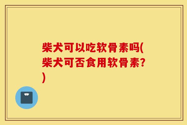 柴犬可以吃软骨素吗(柴犬可否食用软骨素？)