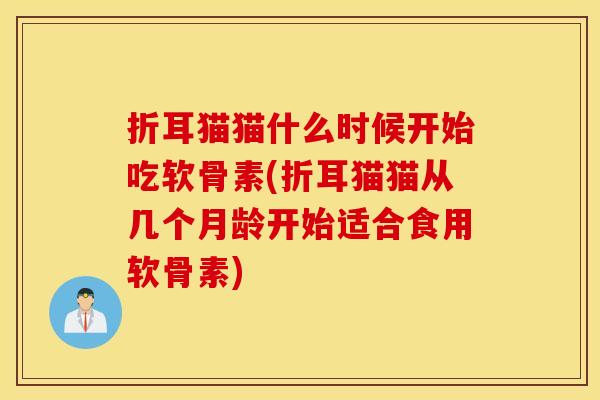 折耳猫猫什么时候开始吃软骨素(折耳猫猫从几个月龄开始适合食用软骨素)