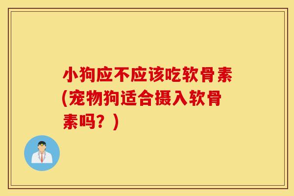 小狗应不应该吃软骨素(宠物狗适合摄入软骨素吗？)