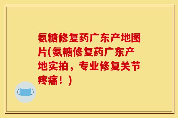 氨糖修复药广东产地图片(氨糖修复药广东产地实拍，专业修复关节疼痛！)