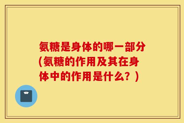 氨糖是身体的哪一部分(氨糖的作用及其在身体中的作用是什么？)