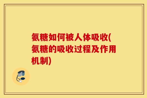 氨糖如何被人体吸收(氨糖的吸收过程及作用机制) 氨糖如何被人体吸收(氨糖的吸收过程及作用机制)