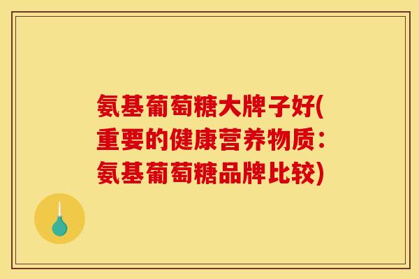 氨基葡萄糖大牌子好(重要的健康营养物质：氨基葡萄糖品牌比较)