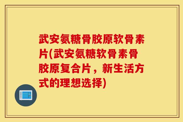 武安氨糖骨胶原软骨素片(武安氨糖软骨素骨胶原复合片，新生活方式的理想选择)