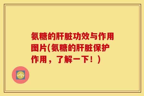 氨糖的肝脏功效与作用图片(氨糖的肝脏保护作用，了解一下！)