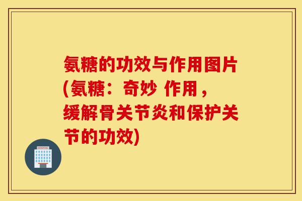 氨糖的功效与作用图片(氨糖:奇妙 作用,缓解骨关节炎和保护关节的功效) 氨糖的功效与作用图片(氨糖:奇妙 作用,缓解骨关节炎和保护关节的功效)