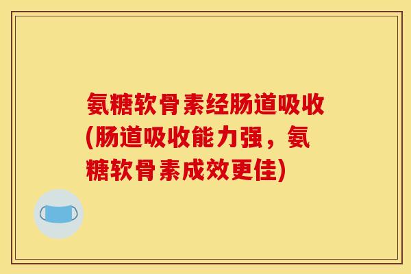 氨糖软骨素经肠道吸收(肠道吸收能力强，氨糖软骨素成效更佳)