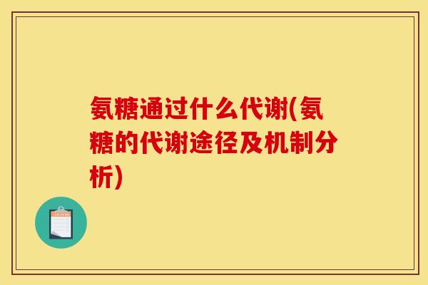氨糖通过什么代谢(氨糖的代谢途径及机制分析)