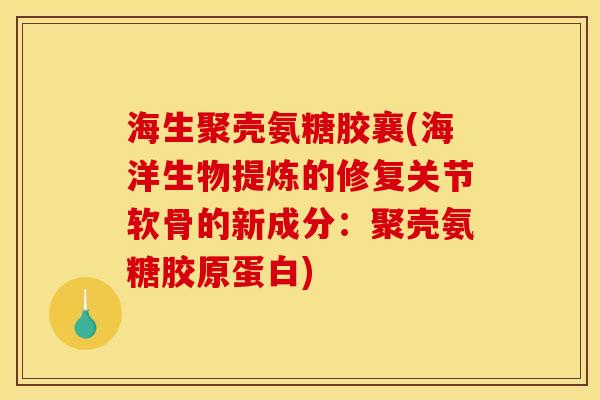 海生聚壳氨糖胶襄(海洋生物提炼的修复关节软骨的新成分：聚壳氨糖胶原蛋白)