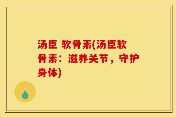 汤臣 软骨素(汤臣软骨素:滋养关节,守护身体) 汤臣 软骨素(汤臣软骨素:滋养关节,守护身体)