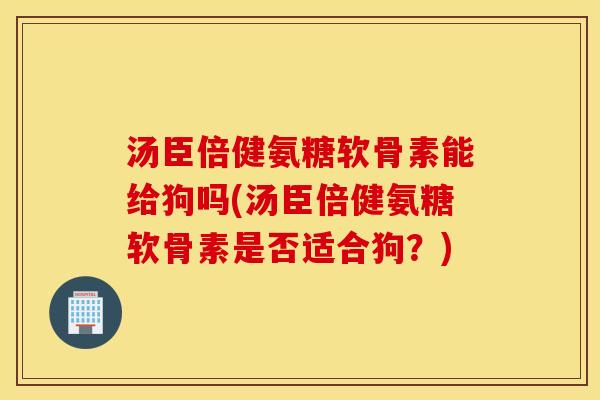 汤臣倍健氨糖软骨素能给狗吗(汤臣倍健氨糖软骨素是否适合狗？)