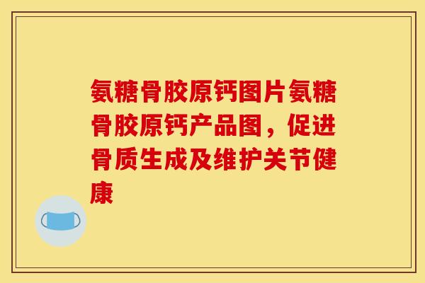 氨糖骨胶原钙图片氨糖骨胶原钙产品图，促进骨质生成及维护关节健康