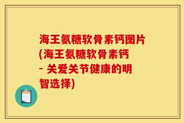 海王氨糖软骨素钙图片(海王氨糖软骨素钙 - 关爱关节健康的明智选择)