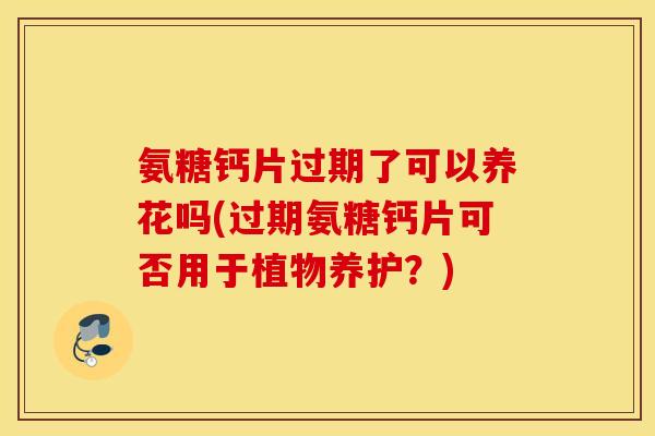 氨糖钙片过期了可以养花吗(过期氨糖钙片可否用于植物养护？)