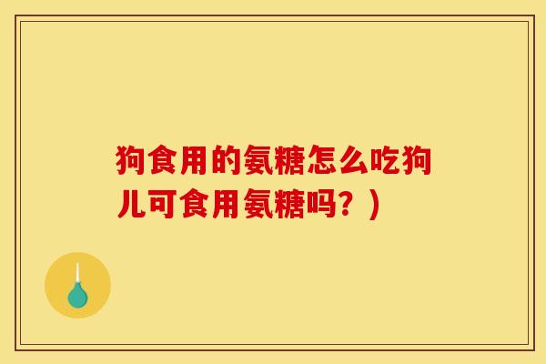 狗食用的氨糖怎么吃狗儿可食用氨糖吗？)