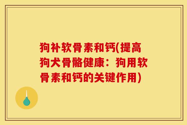 狗补软骨素和钙(提高狗犬骨骼健康：狗用软骨素和钙的关键作用)