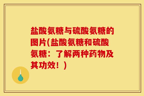 盐酸氨糖与硫酸氨糖的图片(盐酸氨糖和硫酸氨糖：了解两种药物及其功效！)