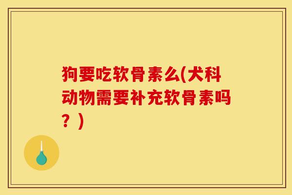 狗要吃软骨素么(犬科动物需要补充软骨素吗？)